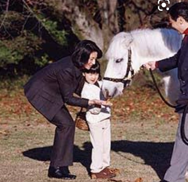 馬と触れ合う皇后陛下