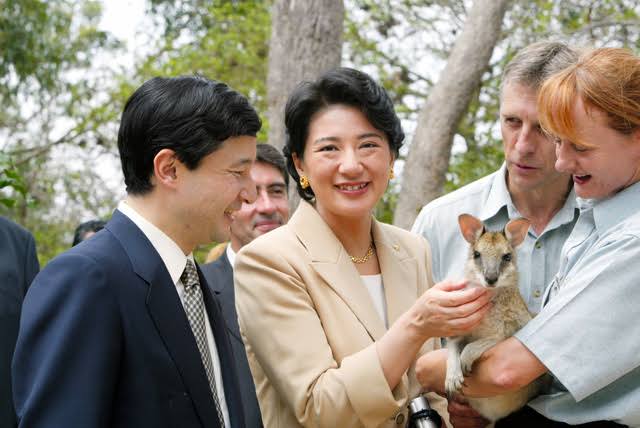 動物を触る雅子様