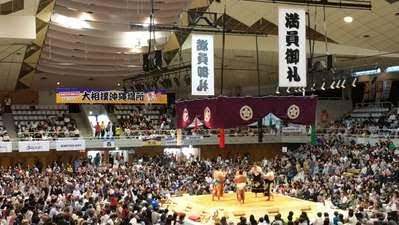 インフルエンザで相撲