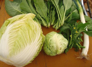 白菜とキャベツ