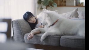 ACジャパンの犬cmの女優