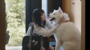ACジャパンの犬cmの女優